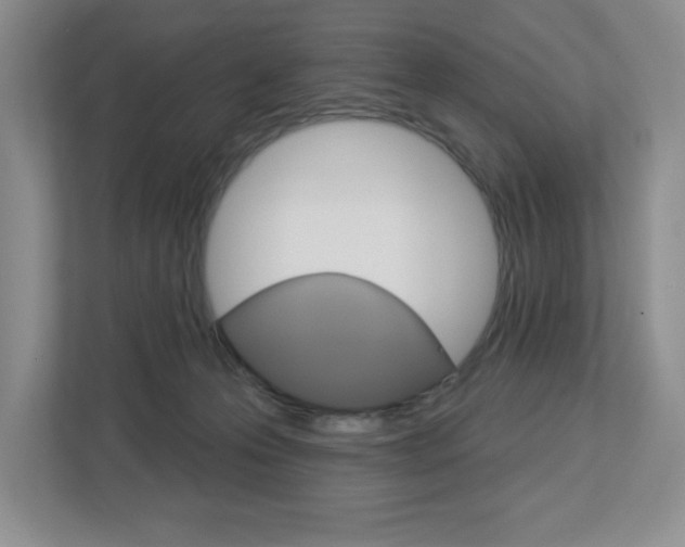 X0000113050223200908271101