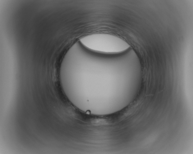 X0000113050224200908271101