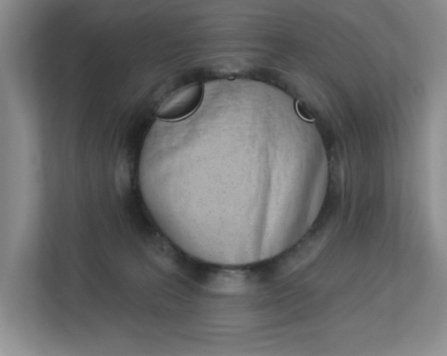 X0000113050227200908271101