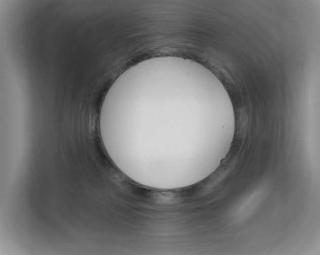 X0000113050230200908271101