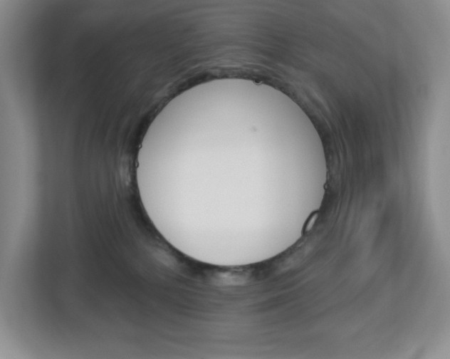 X0000113050232200908271101