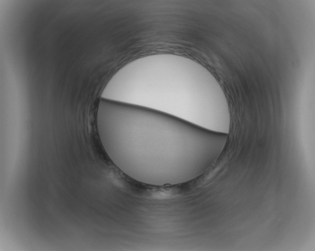 X0000113050235200908271101