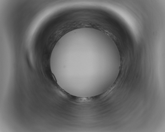 X0000113050239200908271101