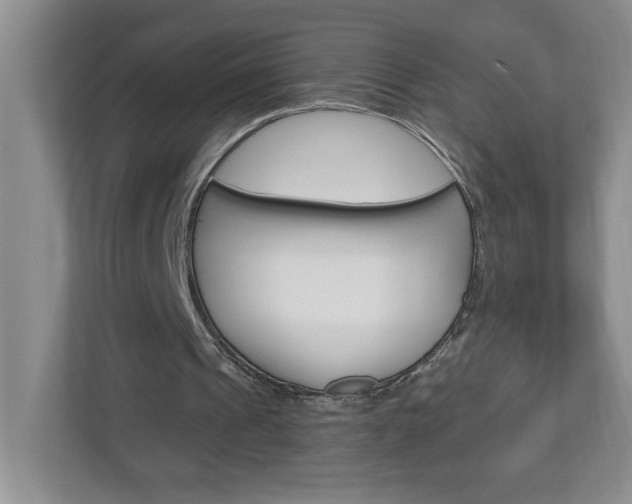 X0000113050241200908271100