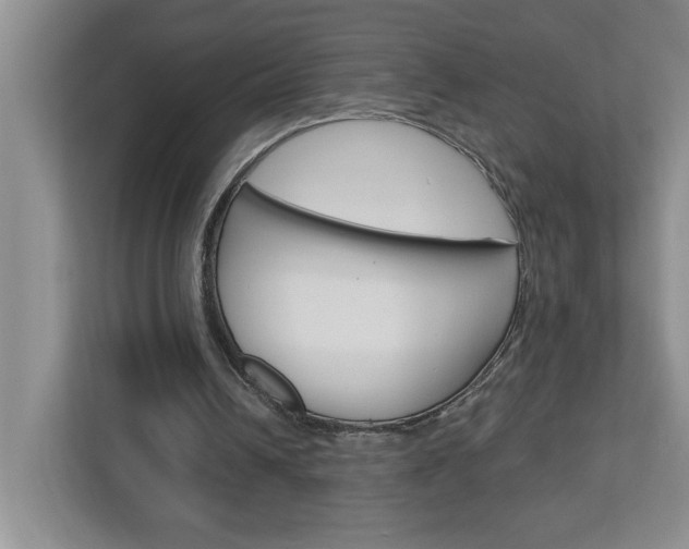 X0000113050242200908271100
