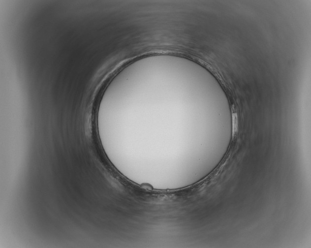 X0000113050243200908271100