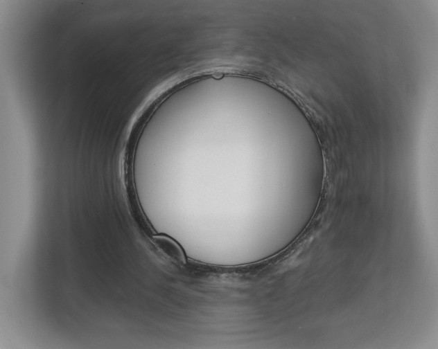X0000113050244200908271100