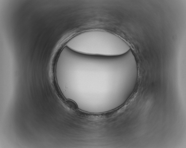X0000113050245200908271100