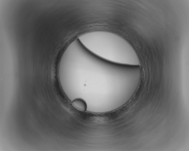 X0000113050255200908271100