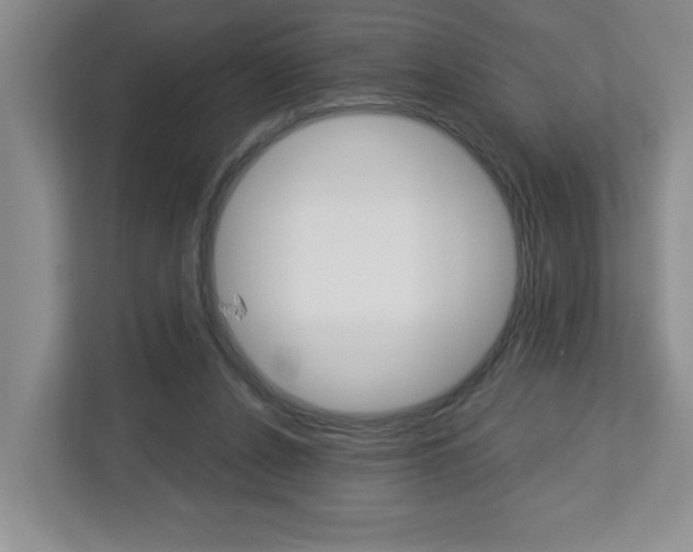 X0000113050256200908271100
