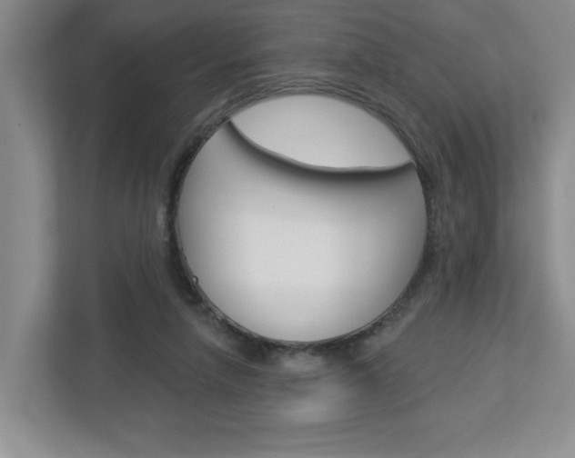 X0000113050258200908271100
