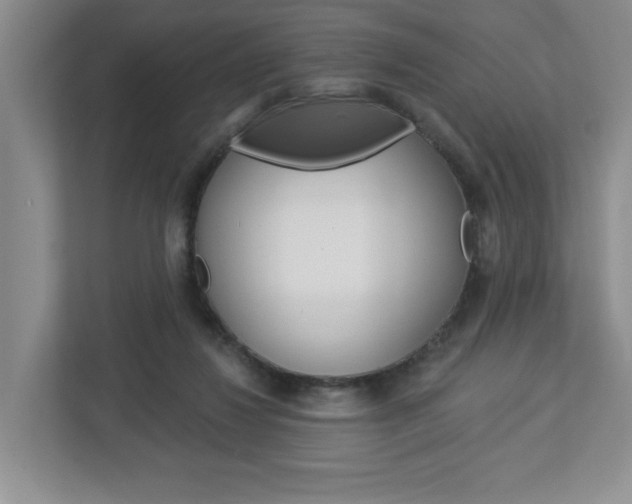 X0000113050260200908271101