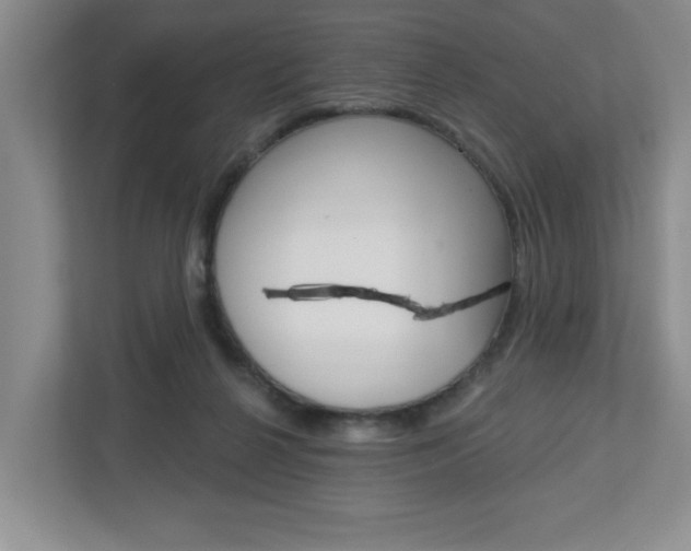 X0000113050264200908271101