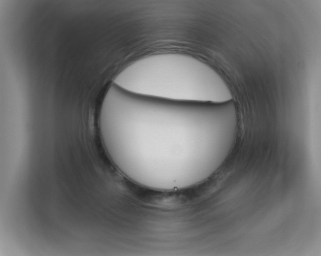 X0000113050267200908271101
