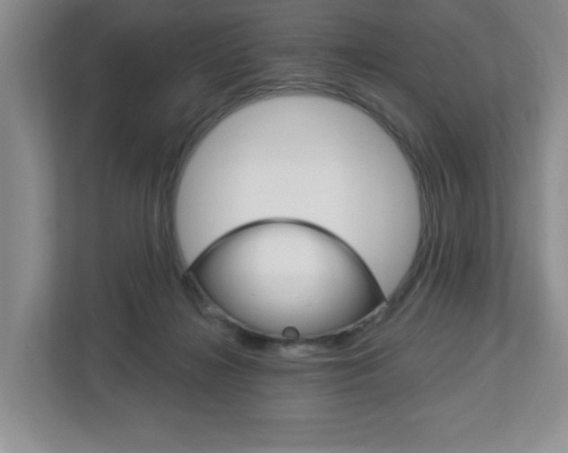 X0000113050268200908271101