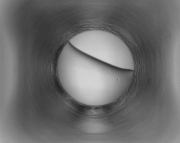 X0000113050270200908271101