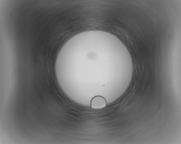 X0000113050276200908271101
