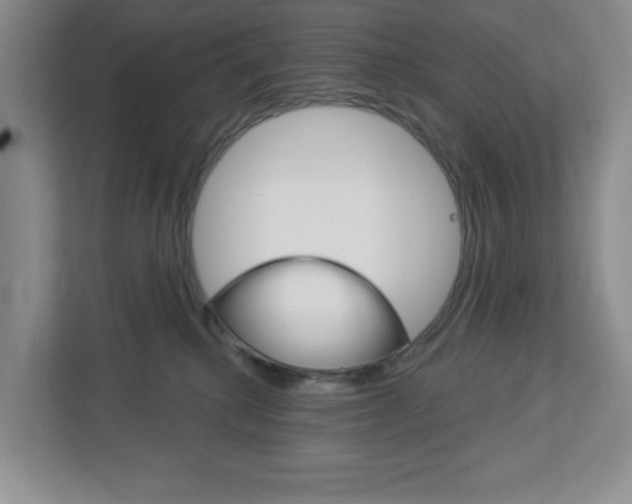 X0000113050280200908271101