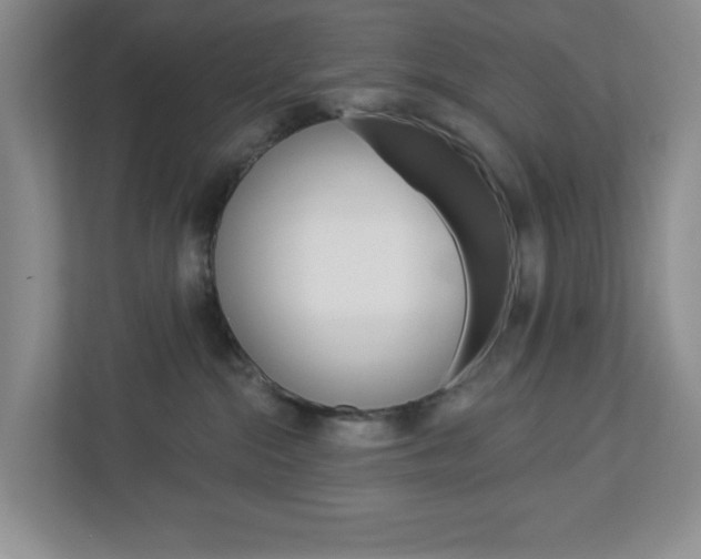 X0000113050284200908271101