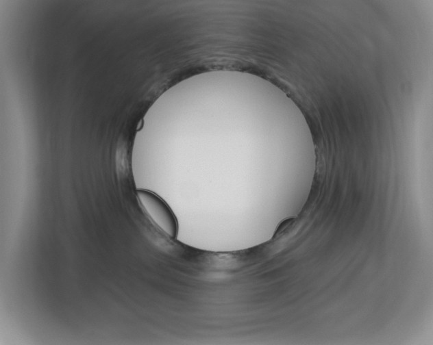 X0000113050287200908271101