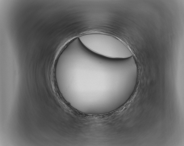X0000113050289200908271100