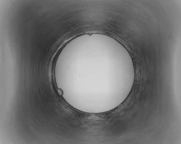 X0000113050290200908271100