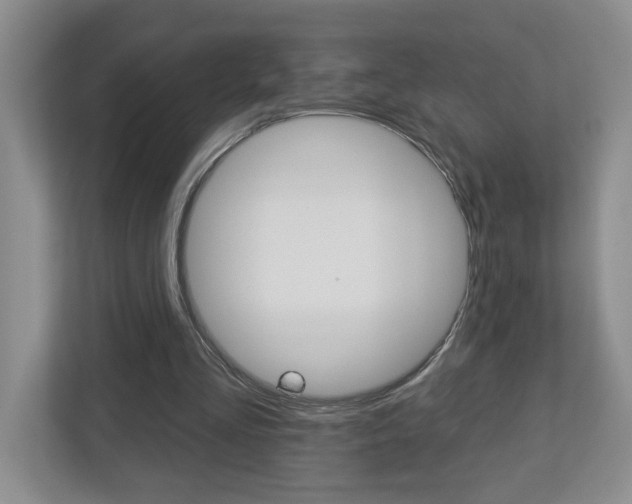 X0000113050293200908271100