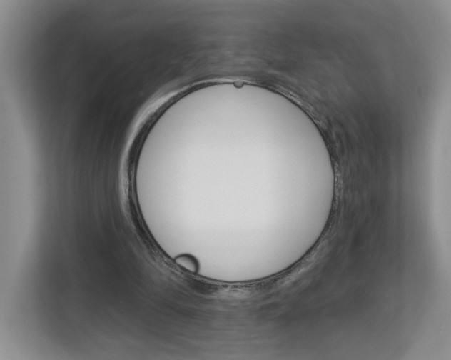 X0000113050294200908271100