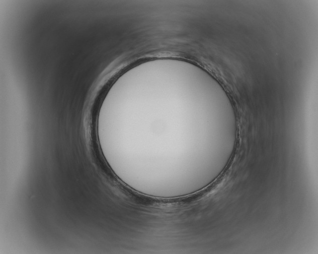X0000113050295200908271100