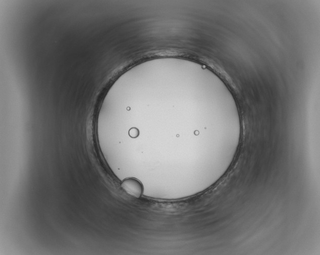 X0000113050297200908271100