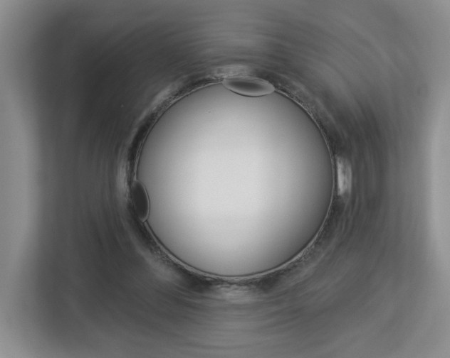 X0000113050300200908271100