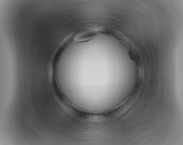 X0000113050304200908271100