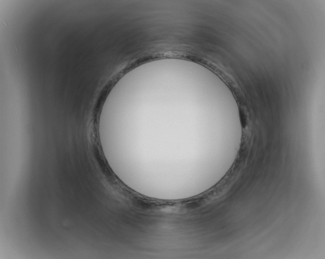 X0000113050306200908271100