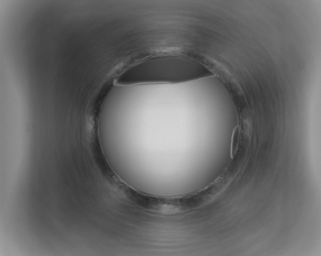 X0000113050308200908271100