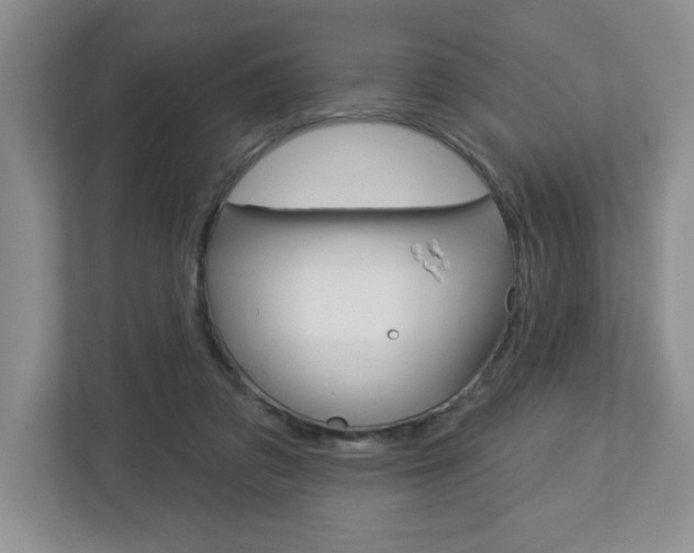 X0000113050309200908271100