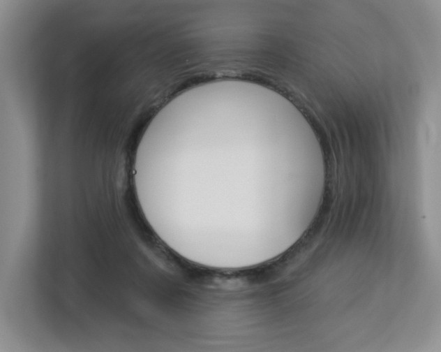 X0000113050311200908271100