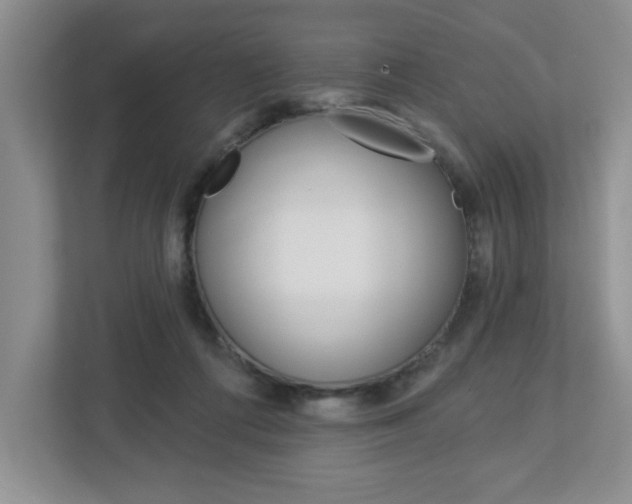 X0000113050312200908271100