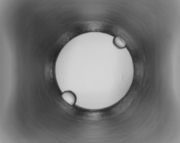 X0000113050313200908271100