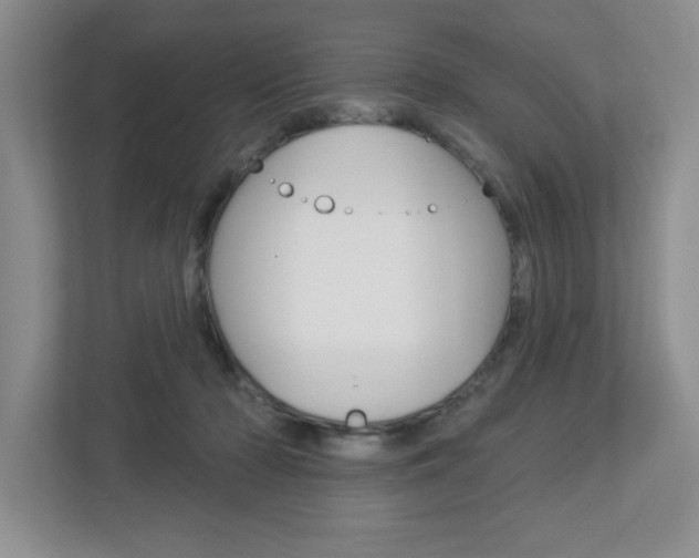 X0000113050318200908271100