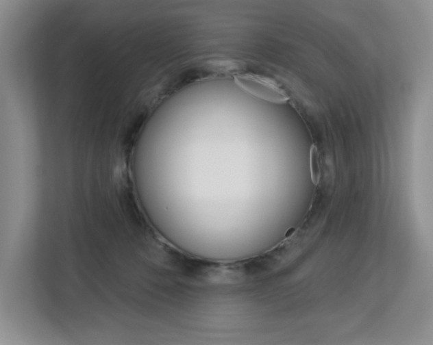 X0000113050320200908271100