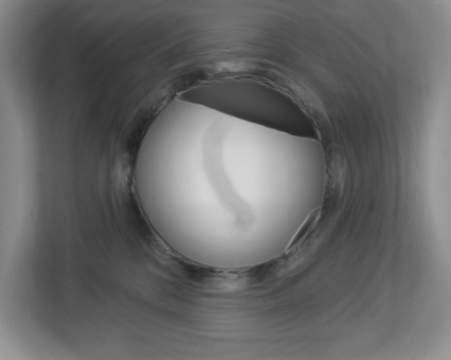 X0000113050328200908271100
