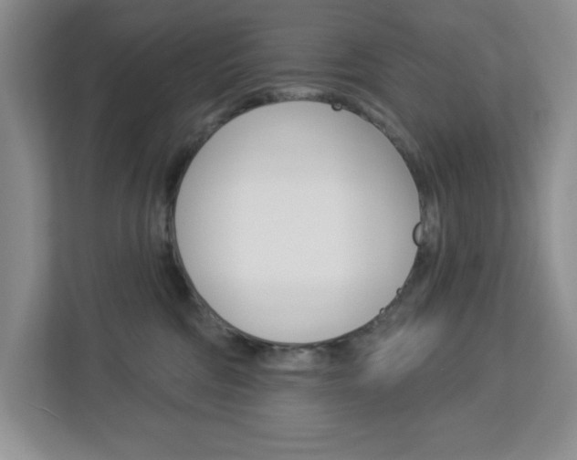 X0000113050330200908271100