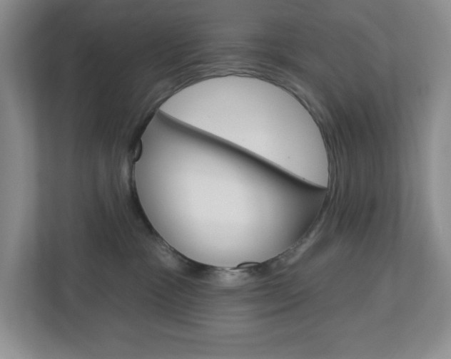 X0000113050333200908271100