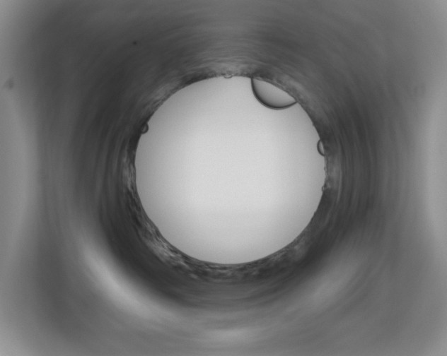 X0000113050334200908271100