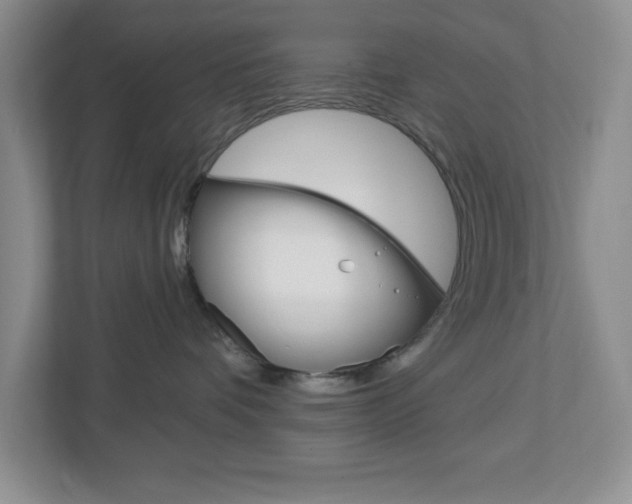 X0000113050336200908271100