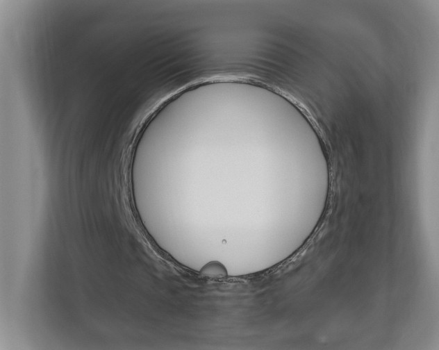 X0000113050337200908271059