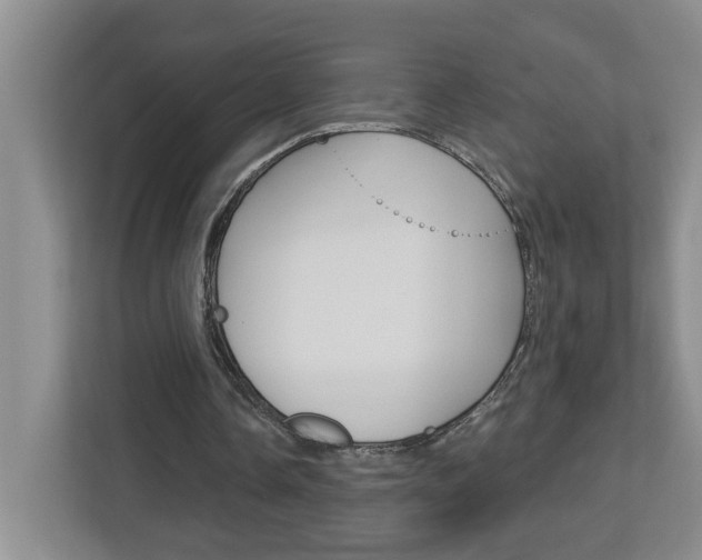 X0000113050338200908271059
