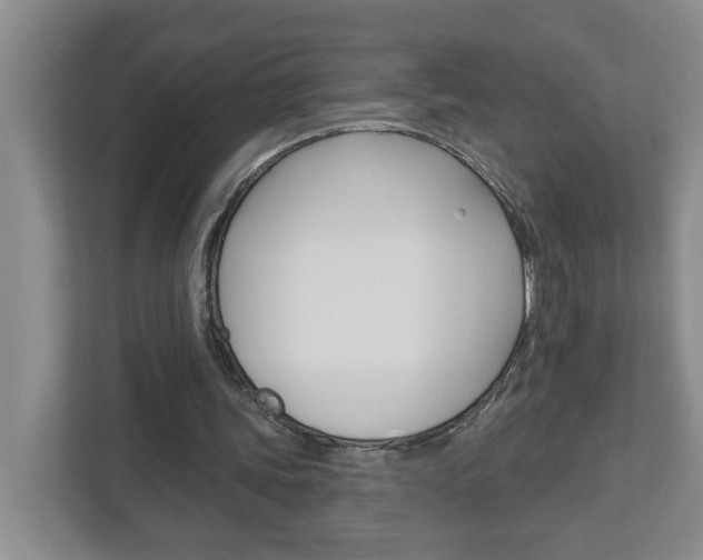 X0000113050339200908271059