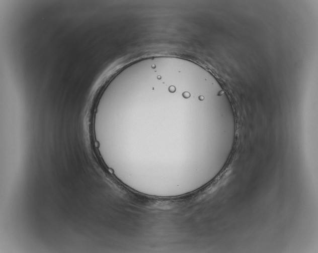 X0000113050341200908271059