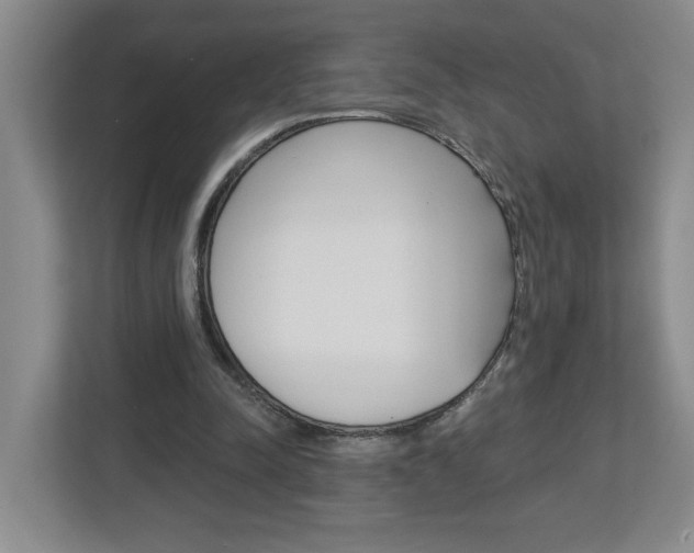 X0000113050342200908271059